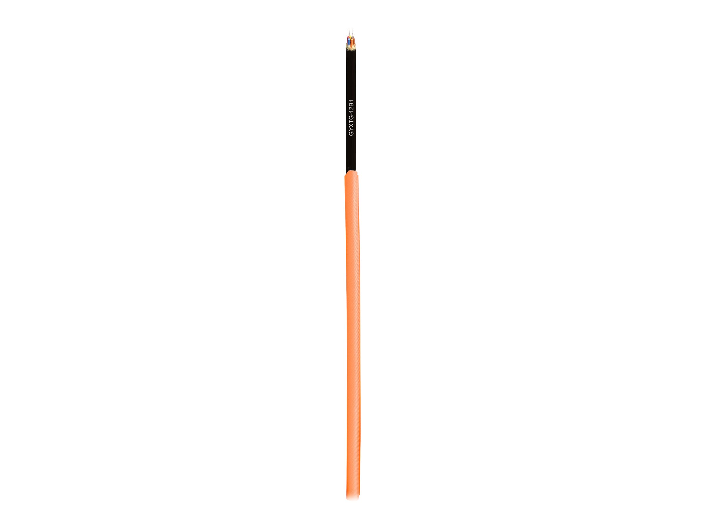 MB5596